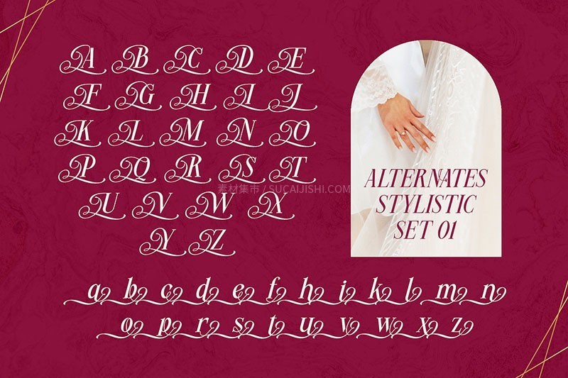 Miogina优雅的花体字英文字体